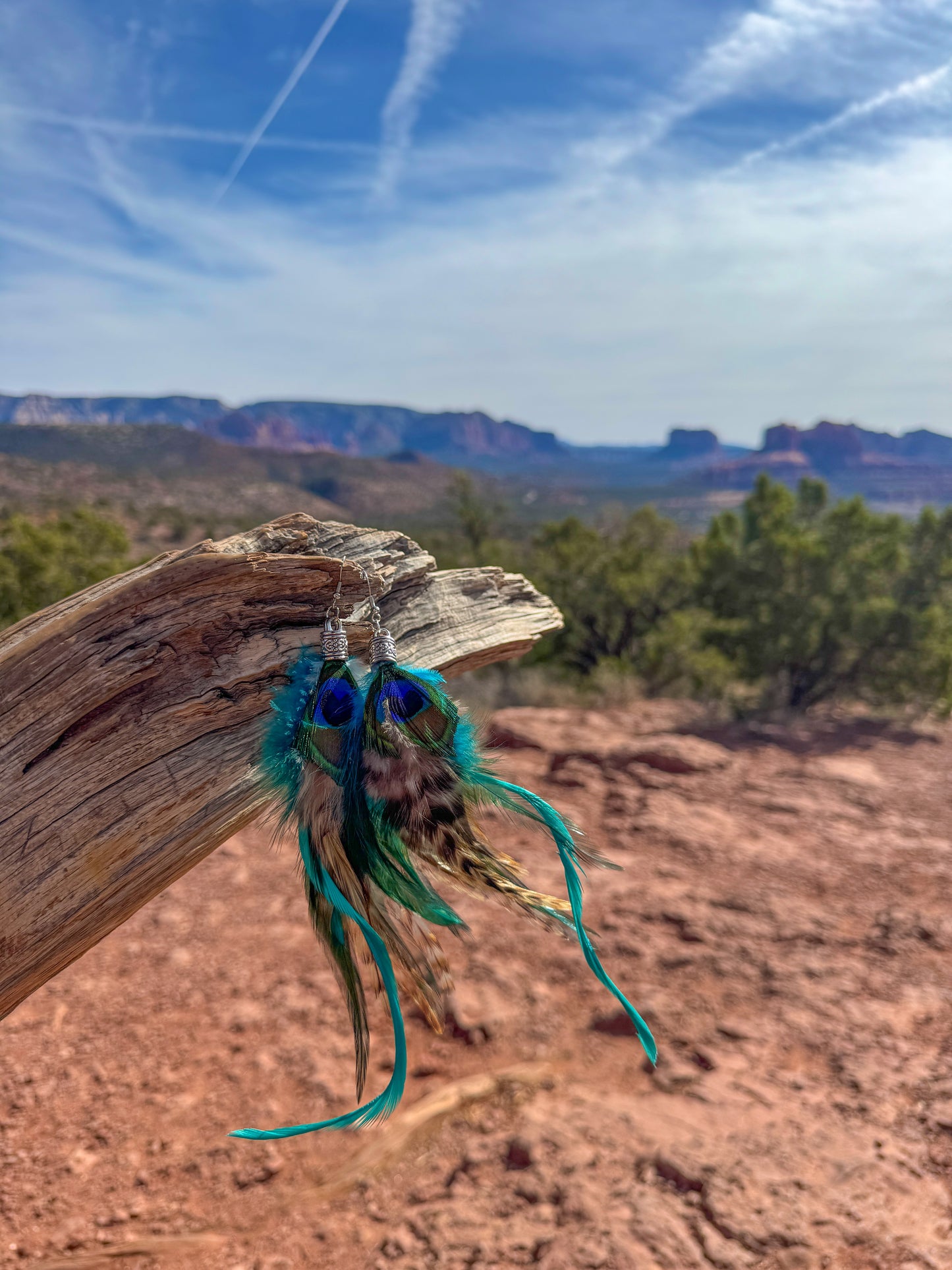 Desert Mirage Feather Earrings