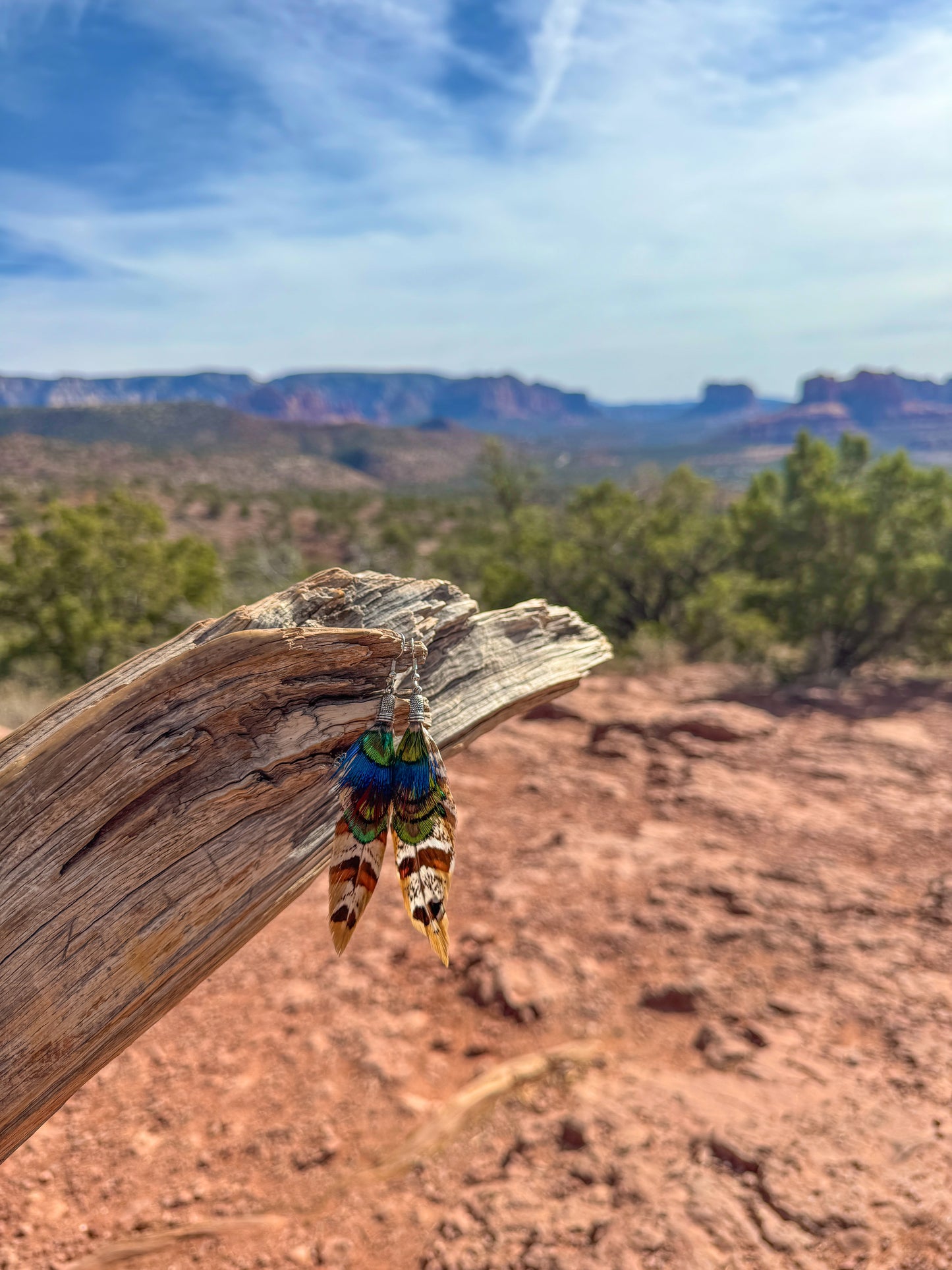 Painted Desert Feather Earrings