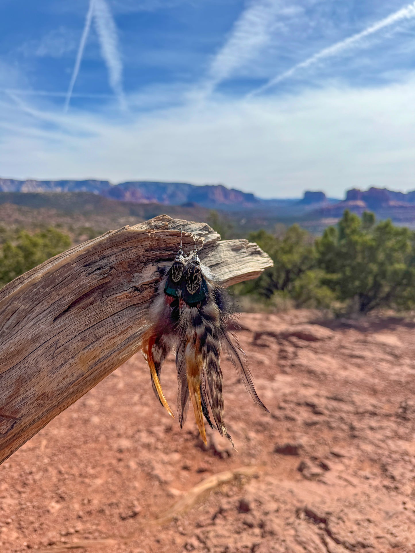 Wildwood Feather Earrings
