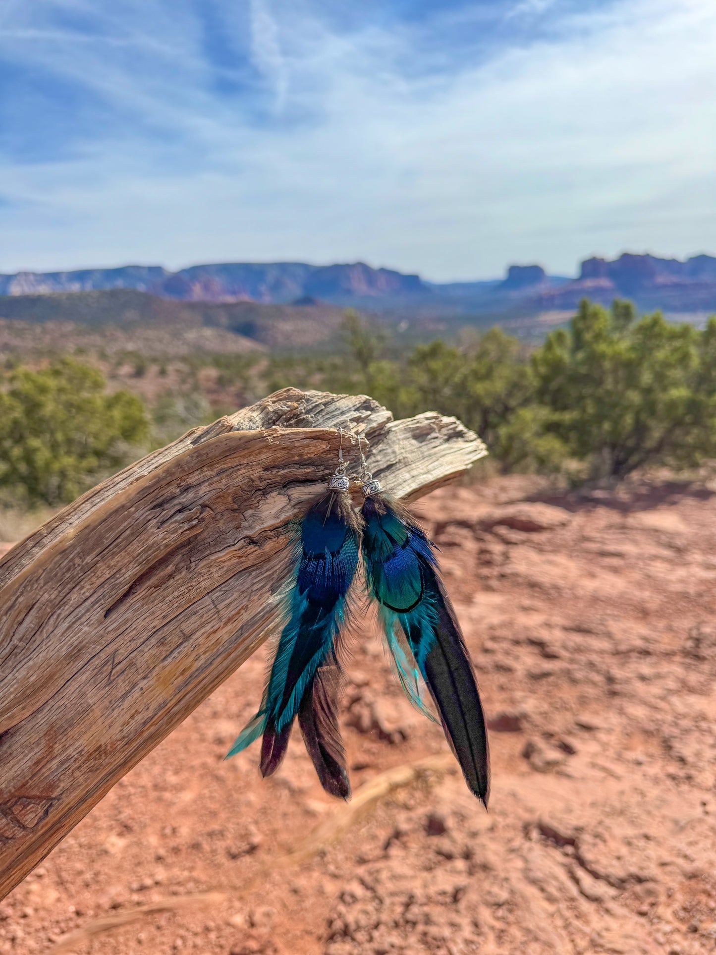Midnight Cascade Feather Earrings