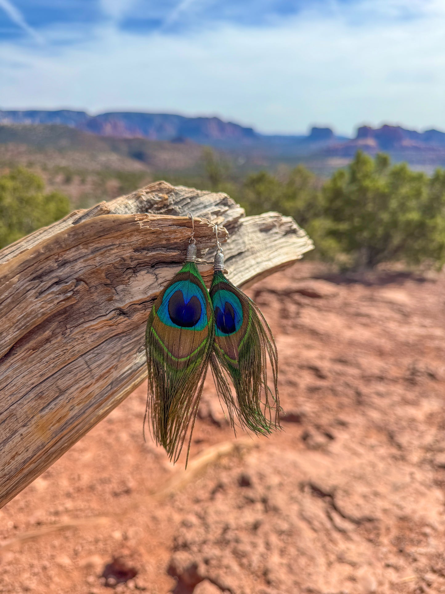 Bohemian Dream Earrings