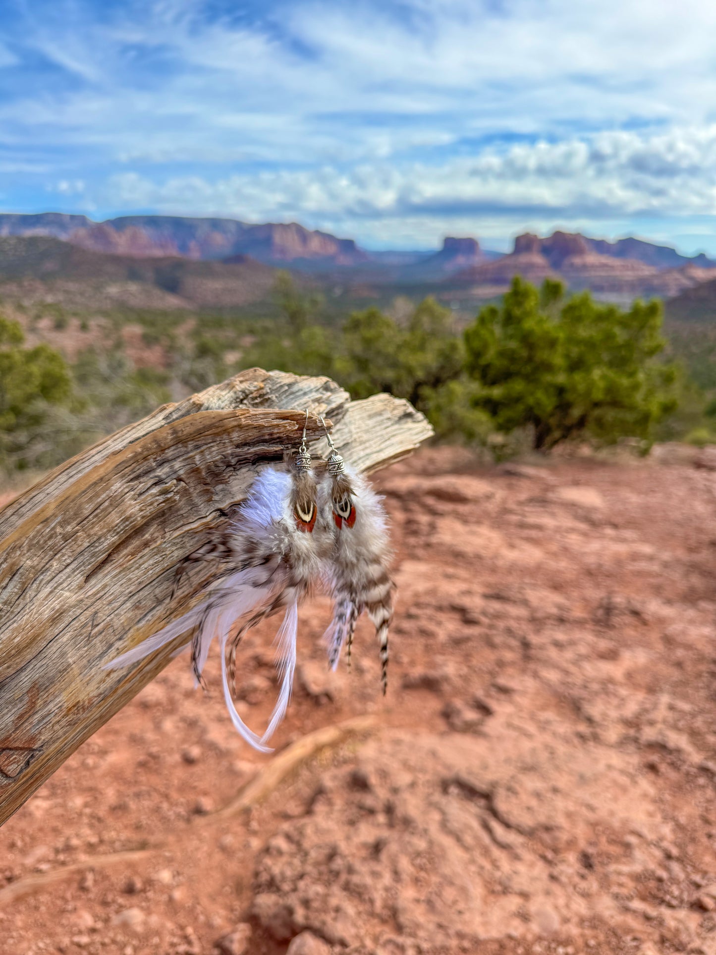 Wind Dancer Feather Earrings