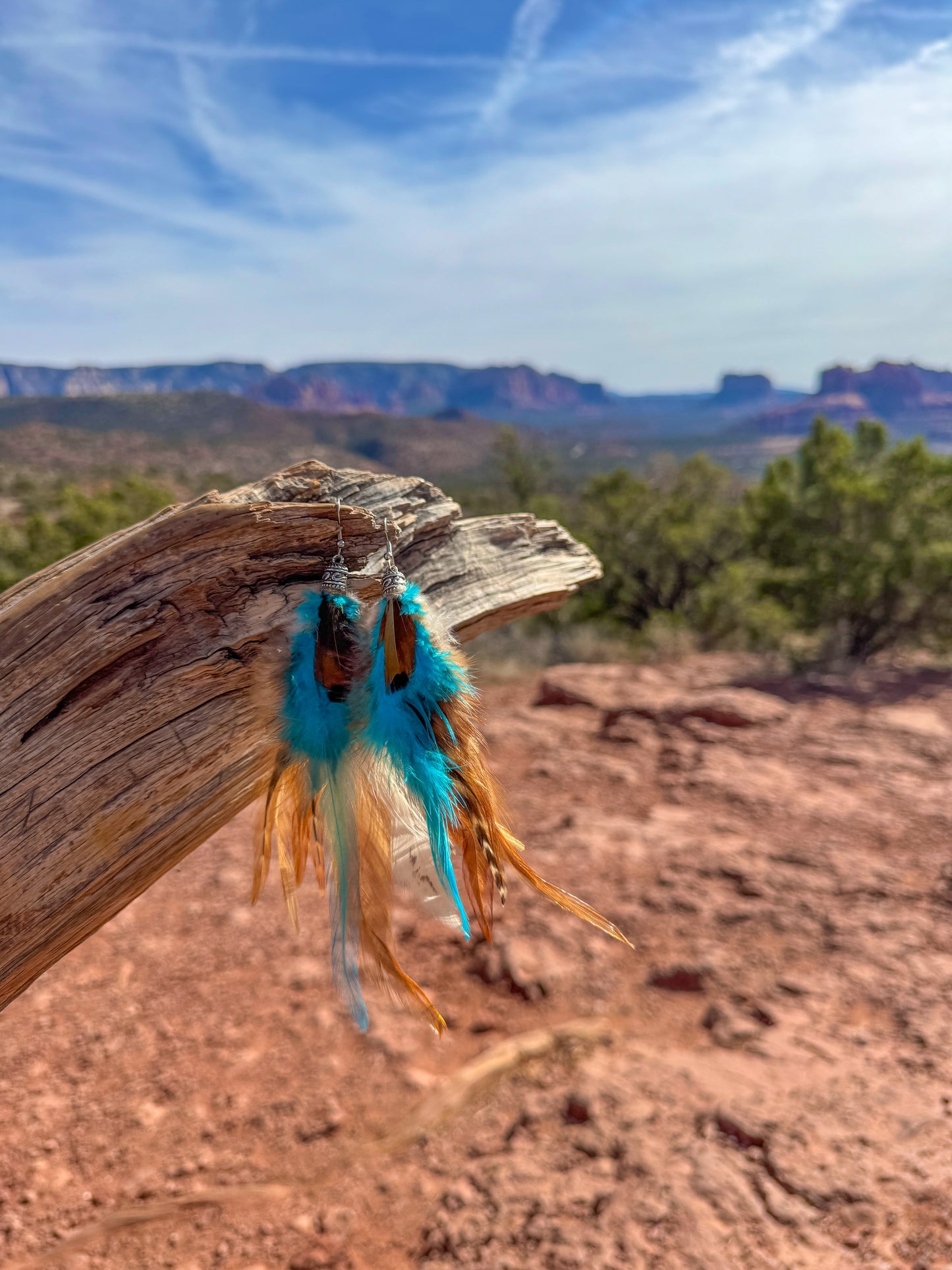 Turquoise Trails Feather Earrings