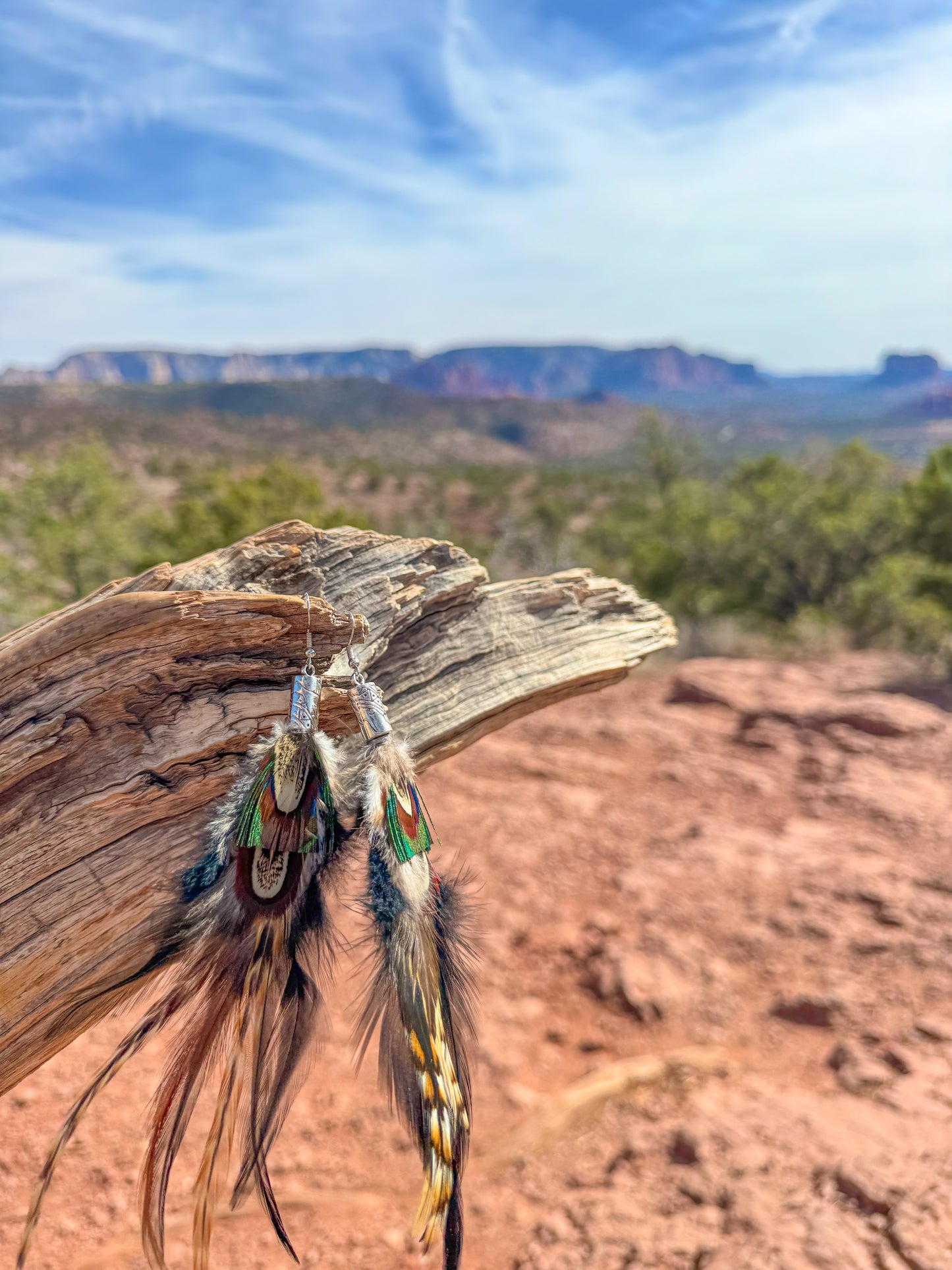 Rustic Horizon Feather Earrings