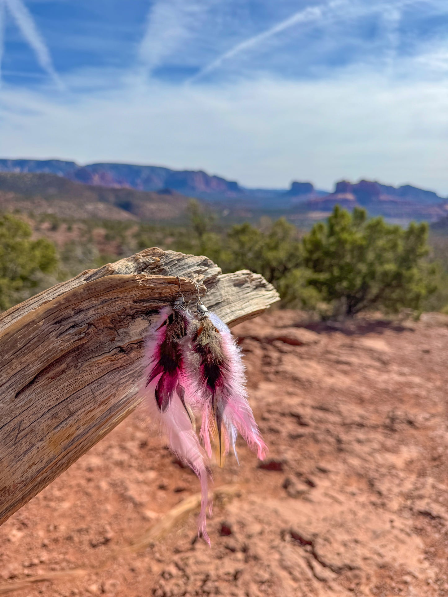 Blush Canyon Feather Earrings