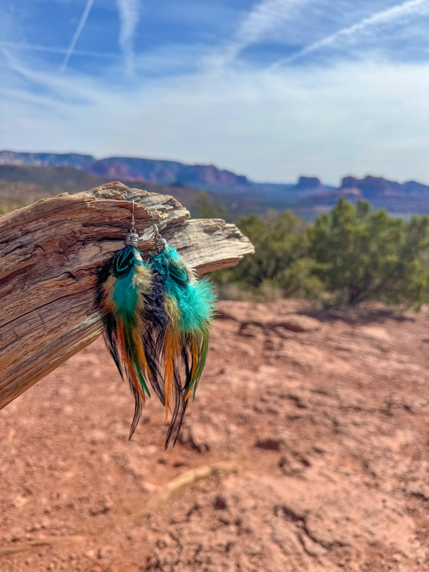Twilight Dancer Feather Earrings