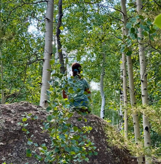 Veit Springs Trail: A Hidden Gem Near Snowbowl in Flagstaff