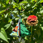 Small Foraging Bags