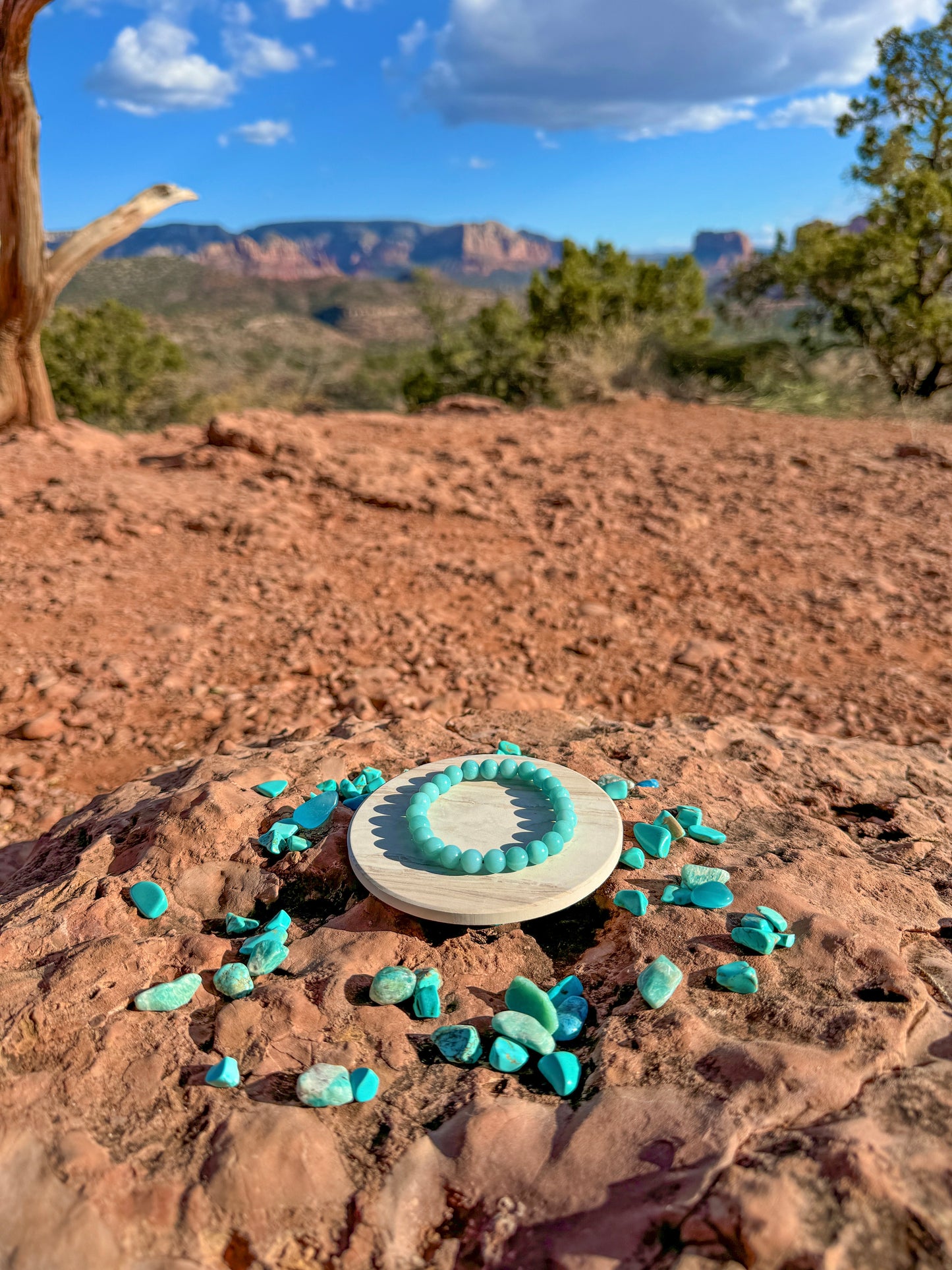 Amazonite Bracelet