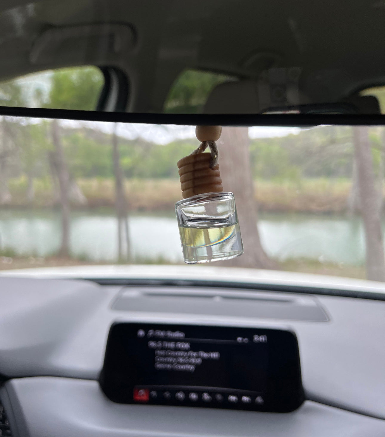 Hanging Car Diffuser