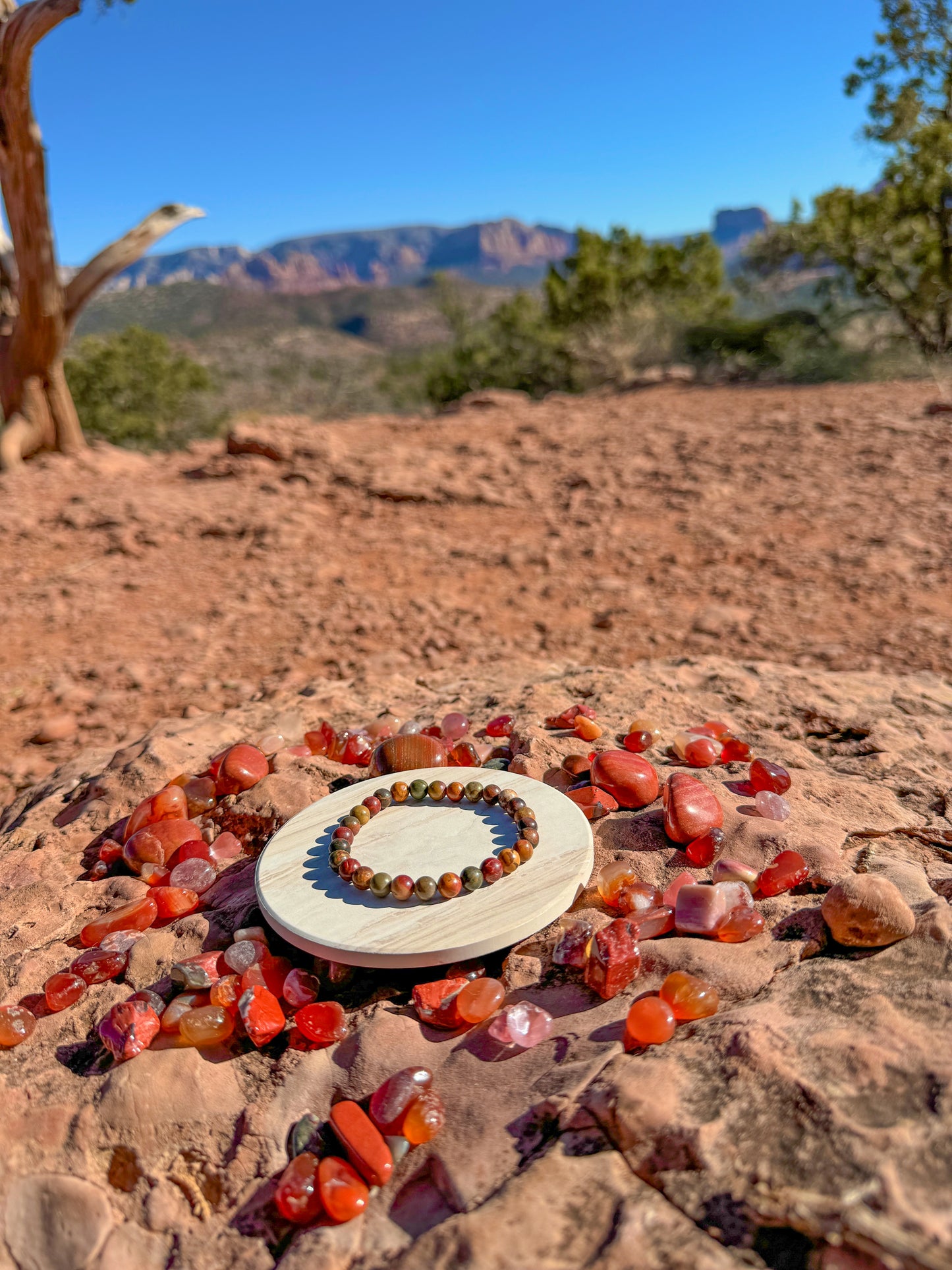 Red Creek Jasper Bracelet