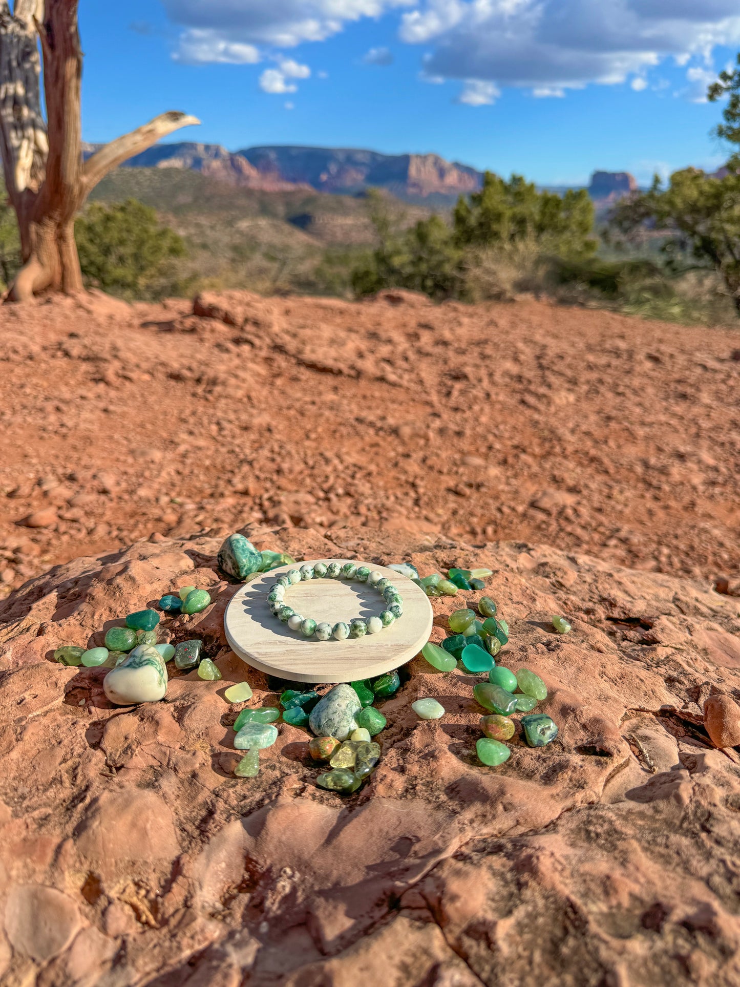 Tree Agate Bracelet